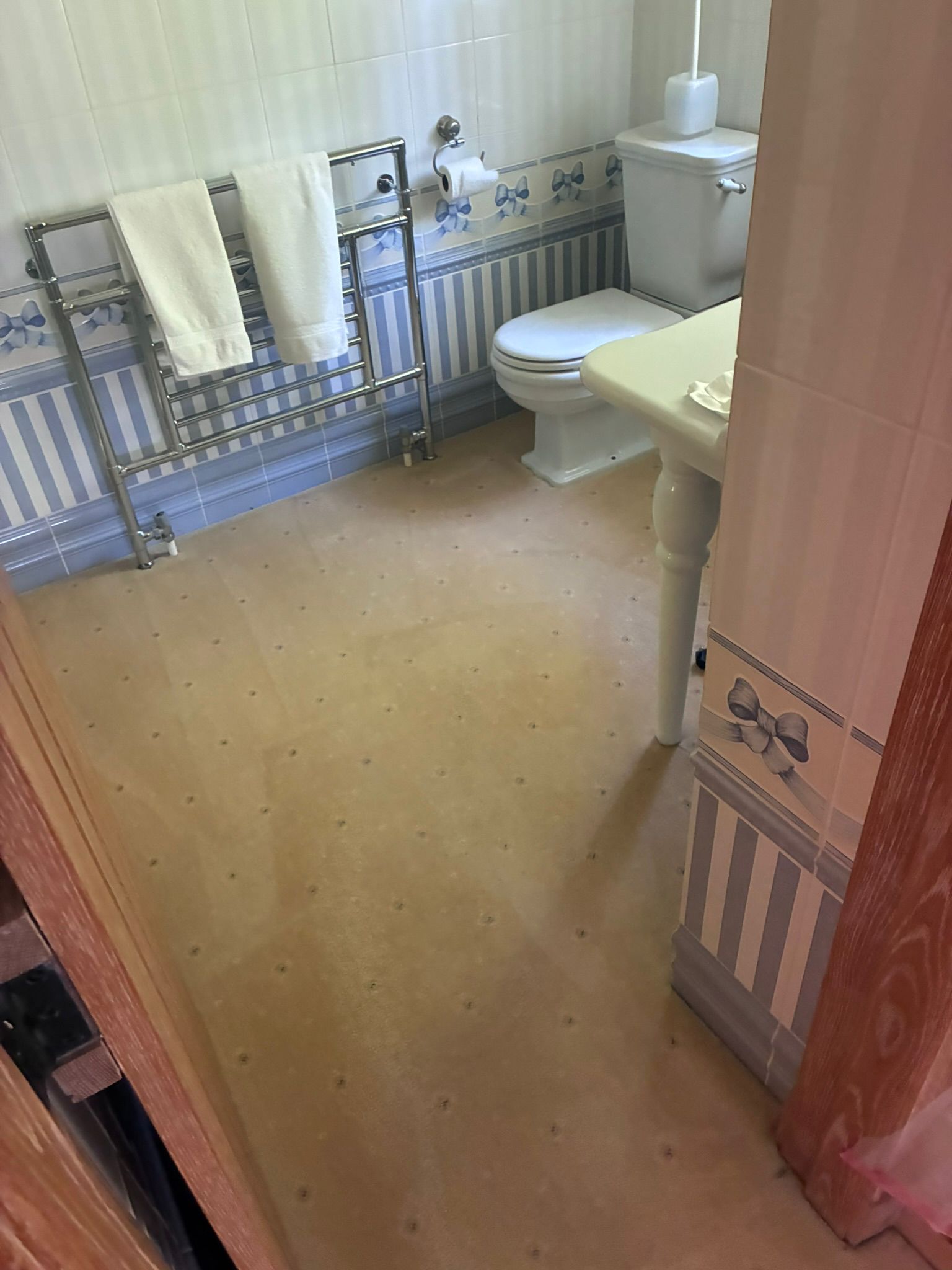 Bathroom carpet cleaning